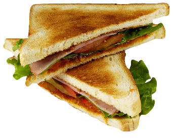 Toasted sandwich.